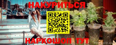 сатива Свободный