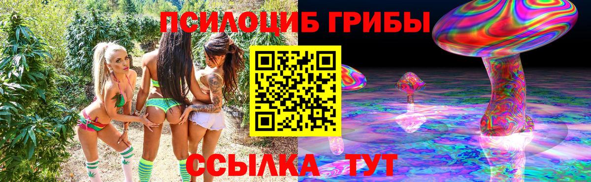 где купить наркоту  Галлюциногенные грибы Psilocybine cubensis  Вход с VPN  Псилоцибиновые грибы прущие грибы  Павлово 